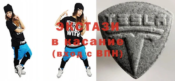 хмурый Пересвет