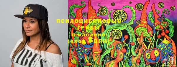 хмурый Пересвет