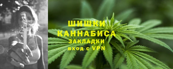 винт Пестово