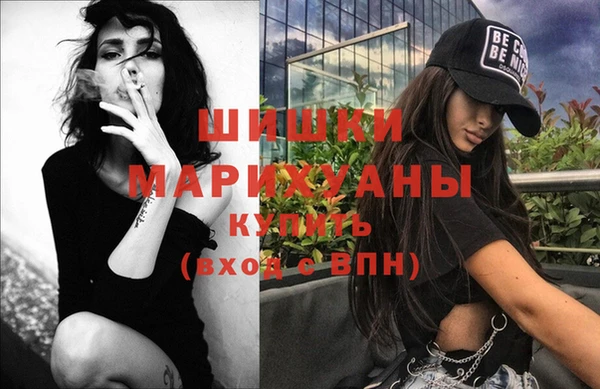 сатива Осташков