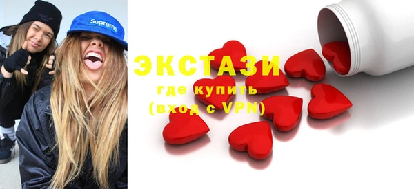 хмурый Пересвет