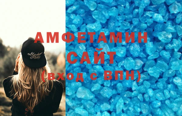 хмурый Пересвет