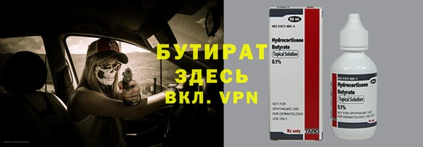 хмурый Пересвет