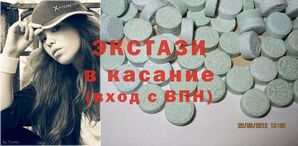 хмурый Пересвет