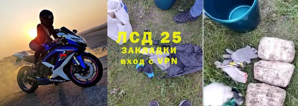 хмурый Пересвет