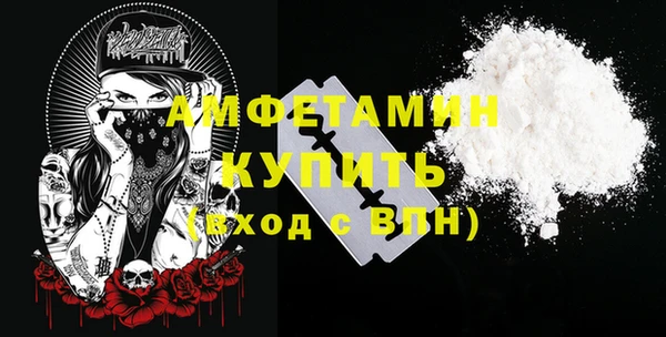 хмурый Пересвет