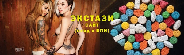 хмурый Пересвет