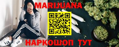 индика Дубна