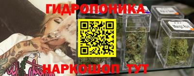 индика Дубна