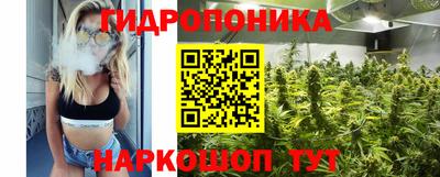 индика Дубна