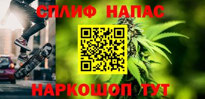 индика Дубна