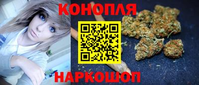 индика Дубна