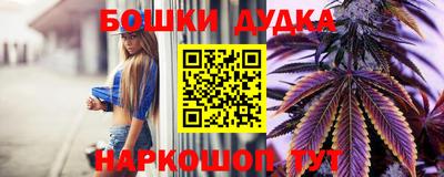 индика Дубна