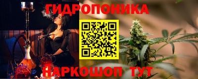 индика Дубна