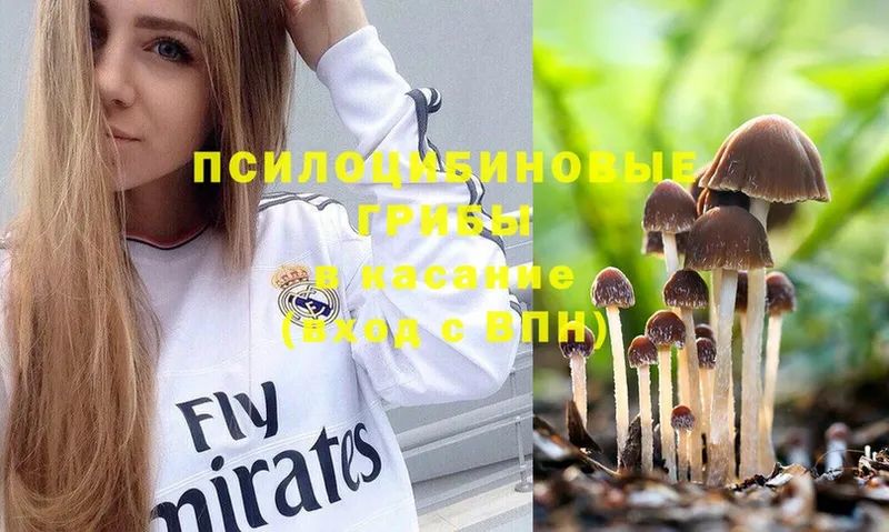 Галлюциногенные грибы Psilocybe  закладки  hydra сайт  Саки 