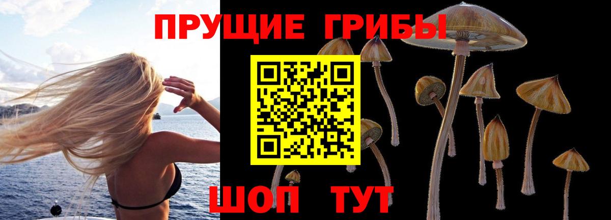 Саки  Галлюциногенные грибы мицелий  Вход с VPN  Галлюциногенные грибы ЛСД 