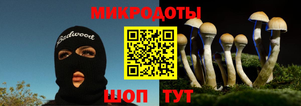 Галлюциногенные грибы GOLDEN TEACHER Саки
