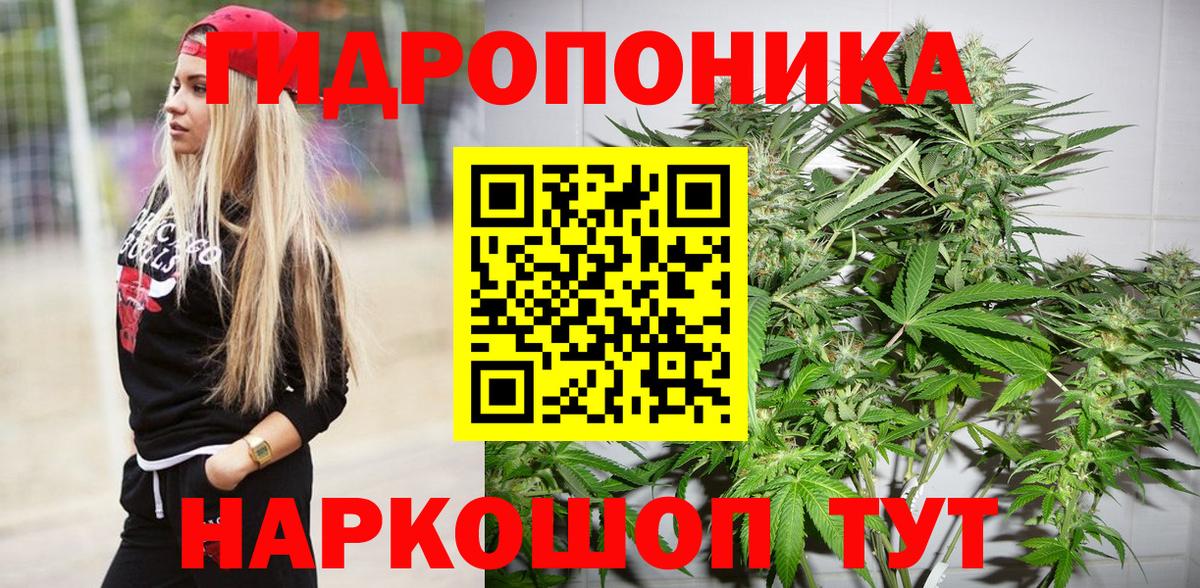 Бошки Шишки сатива  Каннабис THC 21%  Канабис MAZAR  Саки  Каннабис Amnesia 